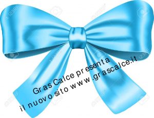 fiocco1
